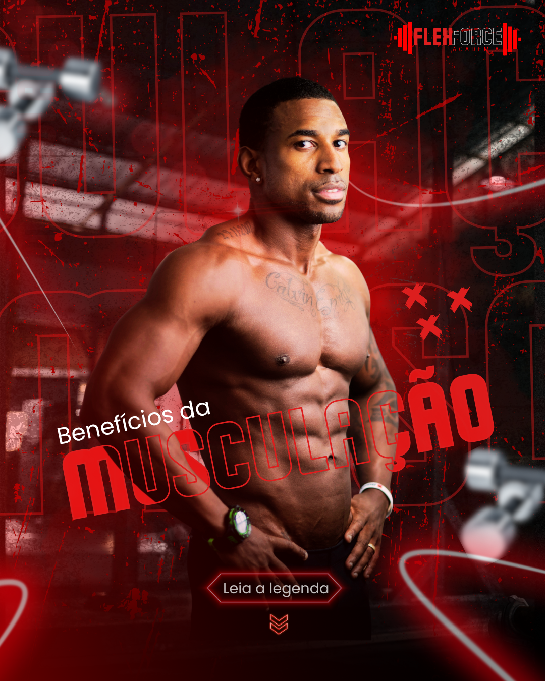 Descrição da Imagem 5